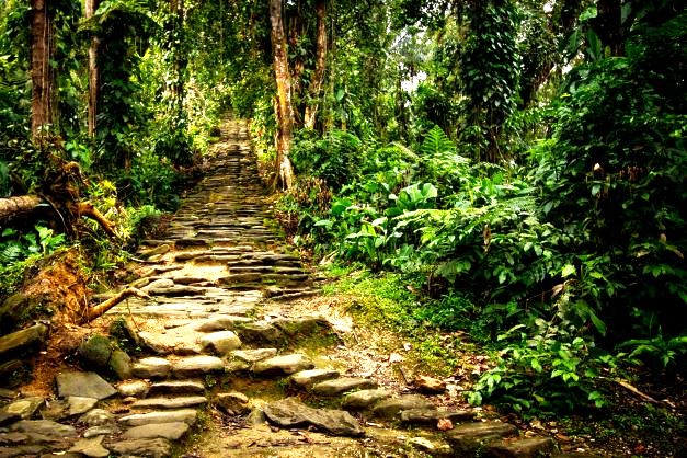 Lost City/ Ciudad Perdida