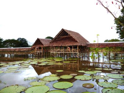 {:en}Amazonia{:}{:es}Amazonas{:}