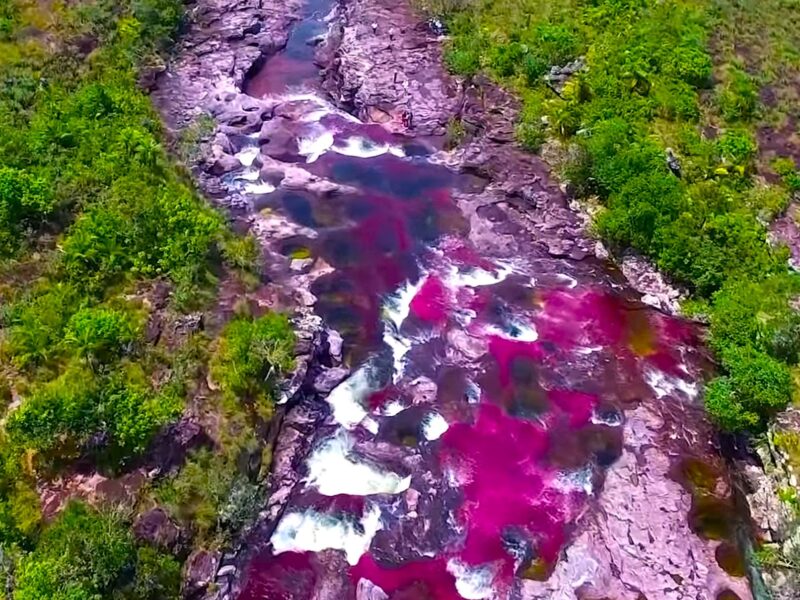 Cano Cristales