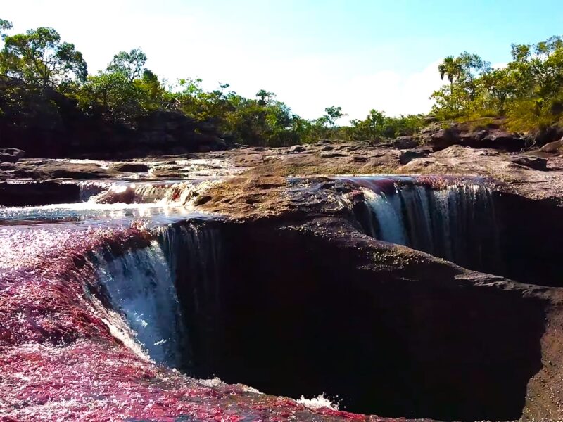 Cano Cristales