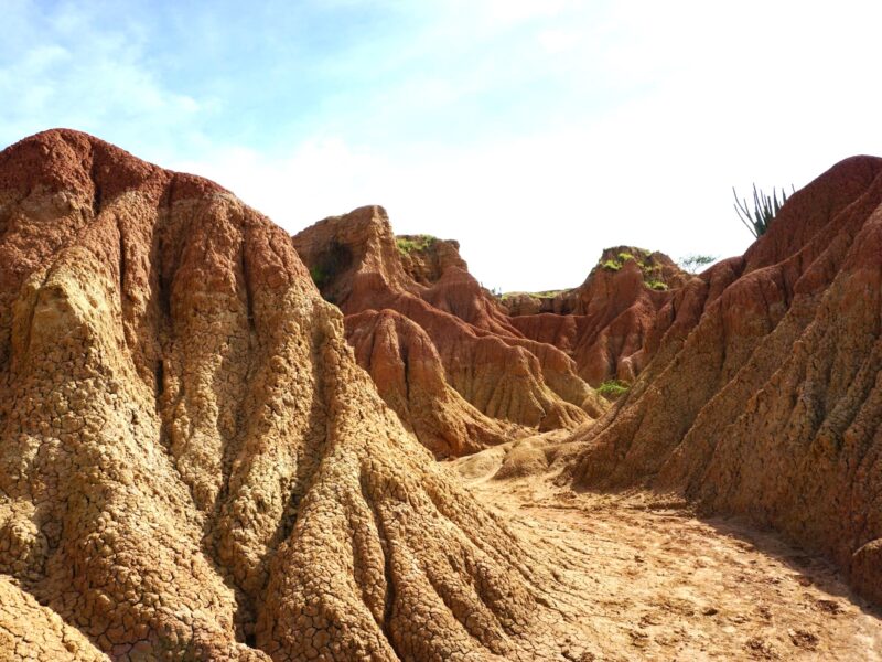 The Tatacoa Desert