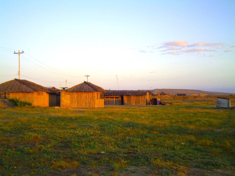 Wayuu