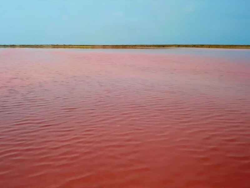 Salinas de Galerazamba Day Tour from £30