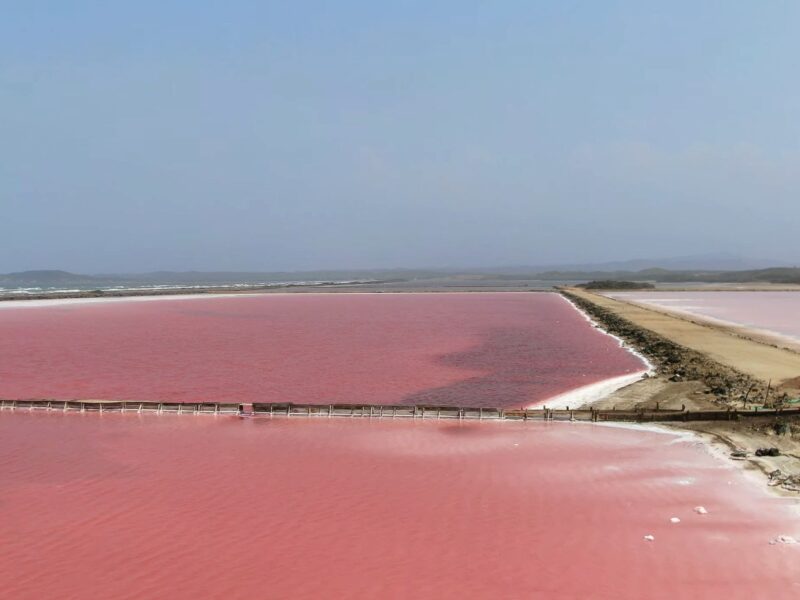 Salinas de Galerazamba Day Tour from £30