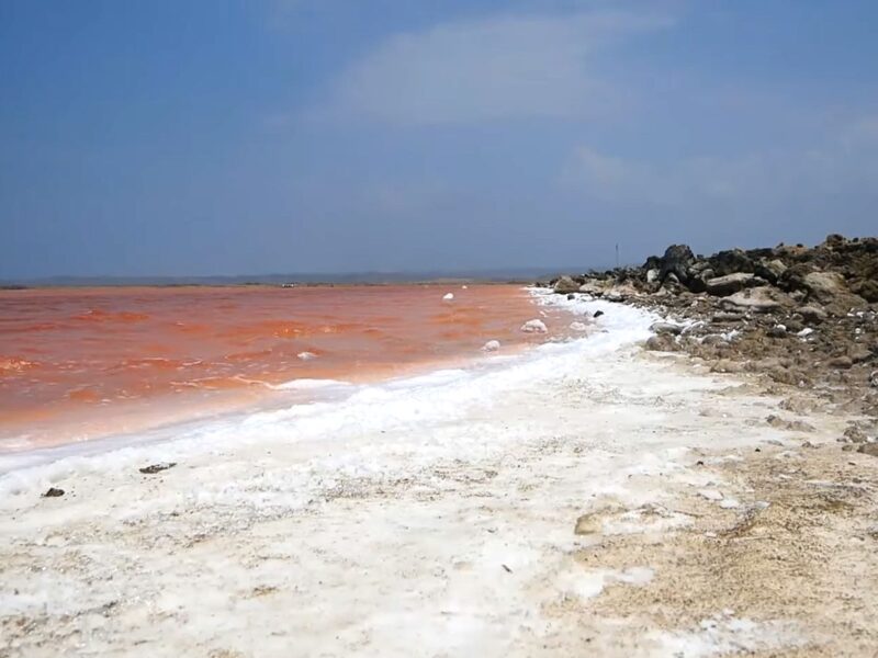 Salinas de Galerazamba Day Tour from £30