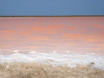 Salinas de Galerazamba Day Tour from £30